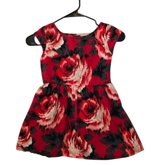 Gap Girls size 6 Floral Red and Black Dress - Picture 1 of 5